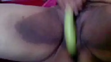 Fatty ass desi aunty Sunitha free porn video